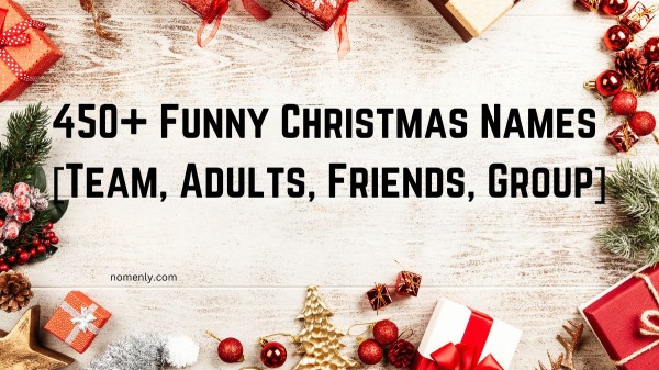 450+ Funny Christmas Names [Team, Adults, Friends, Group]