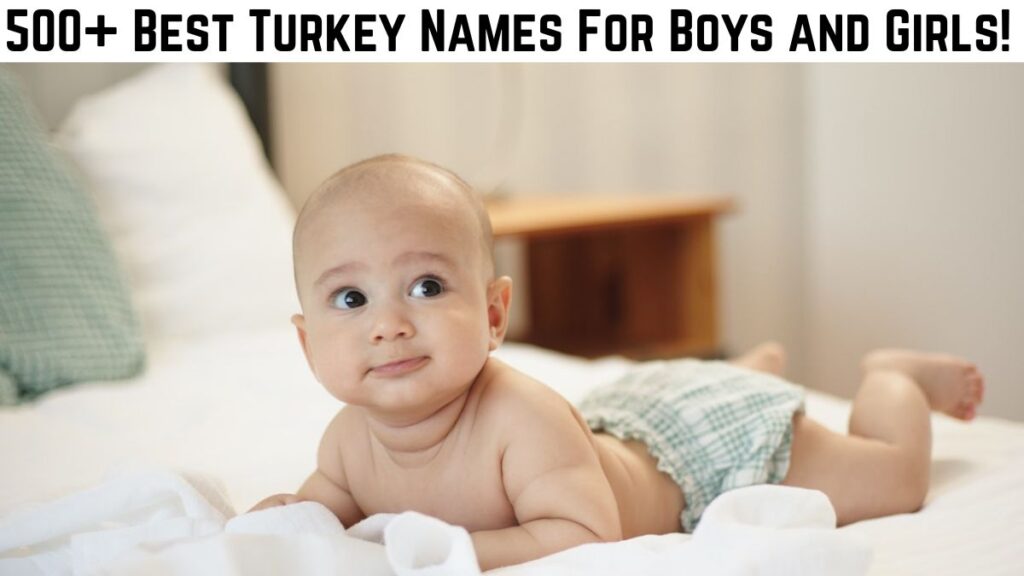 Turkey Names