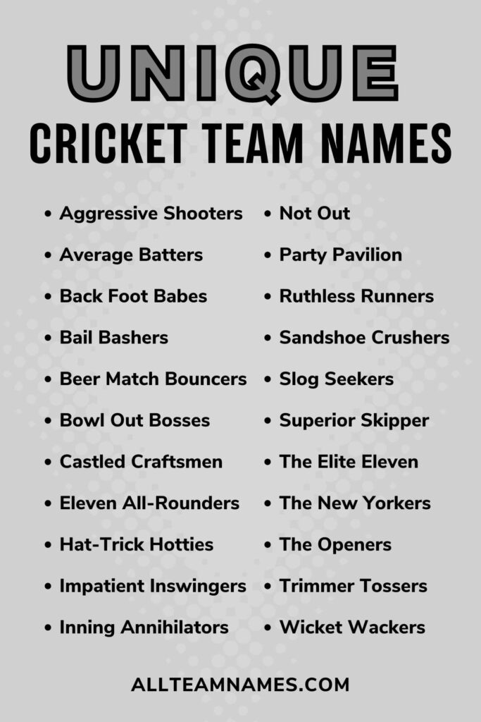 Stylish Cricket Team Names