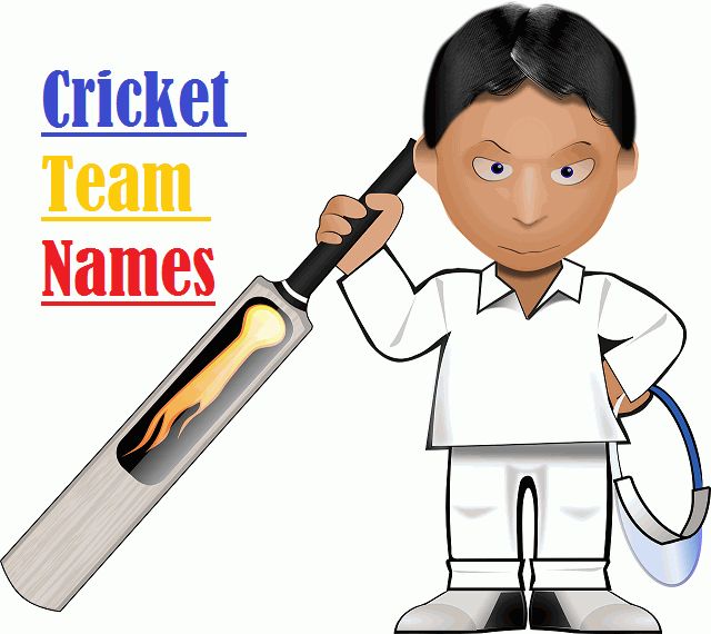 Cricket Team Names For Youth