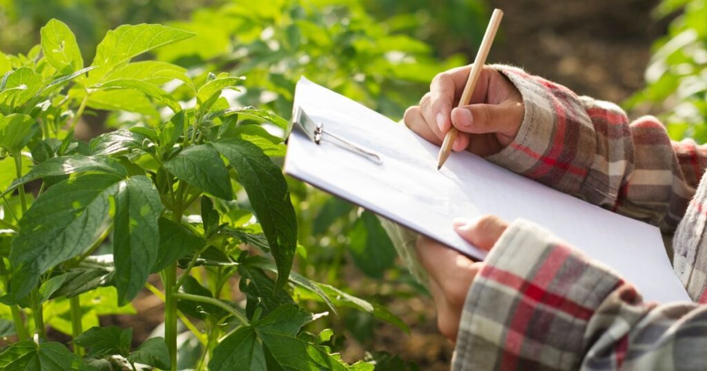 Data-Driven Pest Management: Enhancing Agricultural Efficiency Through Analytics